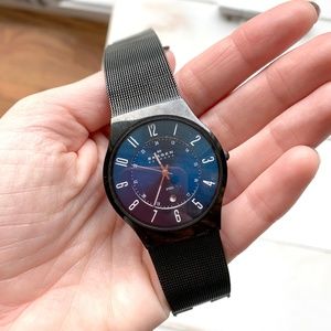 Men's Stainless Steel Black Skagen Watch